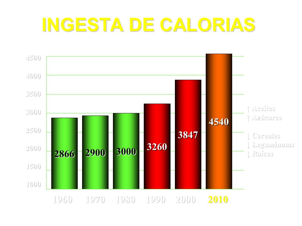 2900 dieta calorias para